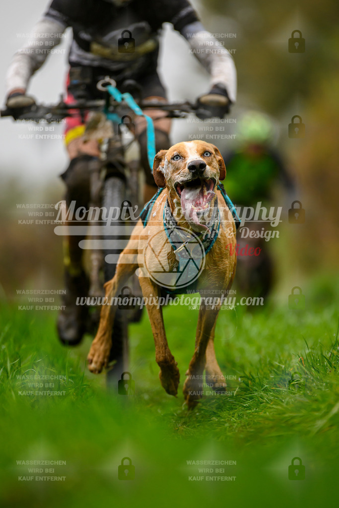 MompixPhotography_20TSB_E8_Bike-39 | PayLife