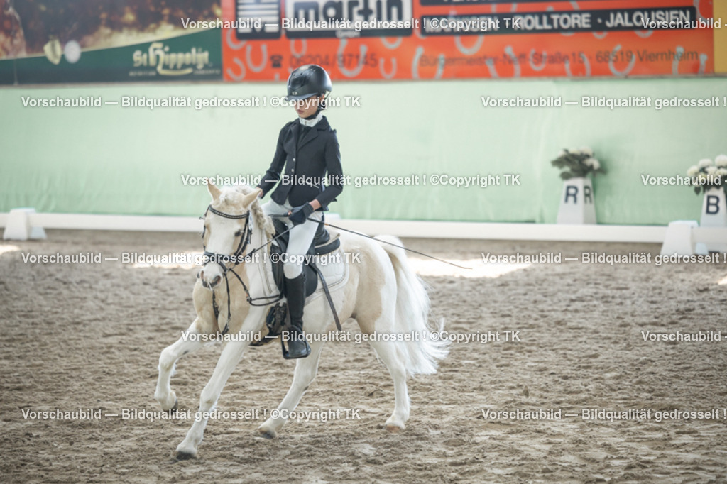 _D5A9107 | Emotionale Pferde- & People-Fotografie rund um Heidelberg, Leimen & Umgebung. Natürliche Fotos von Pferd, Mensch & Familie. Jetzt Termin sichern!