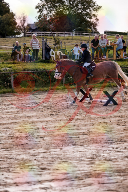 2026_10_03_Siefer-Hof_144454_Z81_19374014 | Professionelle Reitsport-, Turnier- und Eventfotografie von Robert Broda. Galerien mit ausgewählten und bearbeiteten Bildern direkt online ansehen und bestellen.
