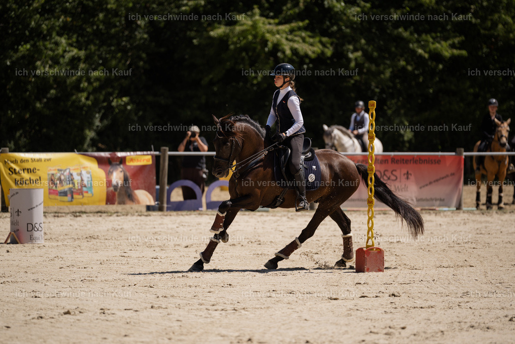 WM_SP_48_Stoibphotography_SO17707 | working equitationturnier fotograf videograf stoibphotography marixx film working equitation deutschland reitsport turnierfotografie eventfotografie equestrian events