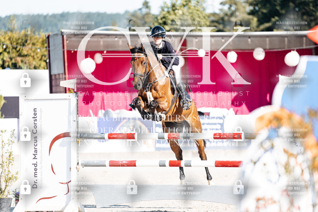 CK904269 | Turnierfotografie Pferdefotografie Trier Rheinland-Pfalz Pferdesport Reitsport Tierfotografie Sportfotografie Pferdevideo Pferdevideografie Equestrianvideography equestrianphotography  - Realisiert mit Pictrs.com