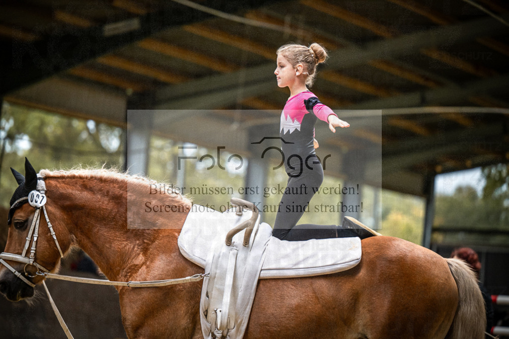 DOS_0041 | Entdecke hochwertige Reitturnierfotos von Foto Oger. Professionell, emotional und authentisch – jetzt Lieblingsmomente im Shop bestellen.Deutschlandweite Turnierfotografie. - Realisiert mit Pictrs.com