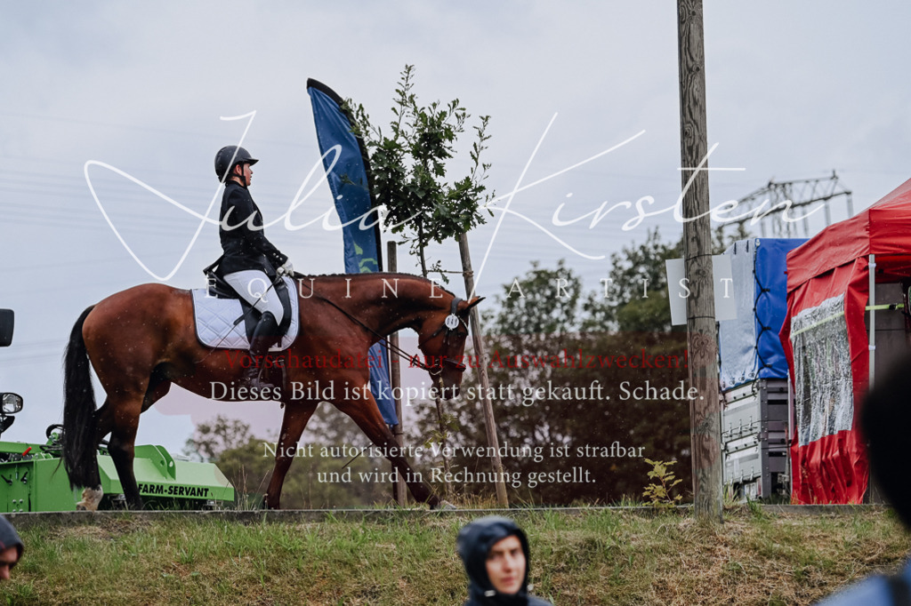 DSC_7022 | Pferde- und Turnierfotografie in Westsachsen. Pferdeportraits, Auftragszeichnungen und intuitive Kunst.