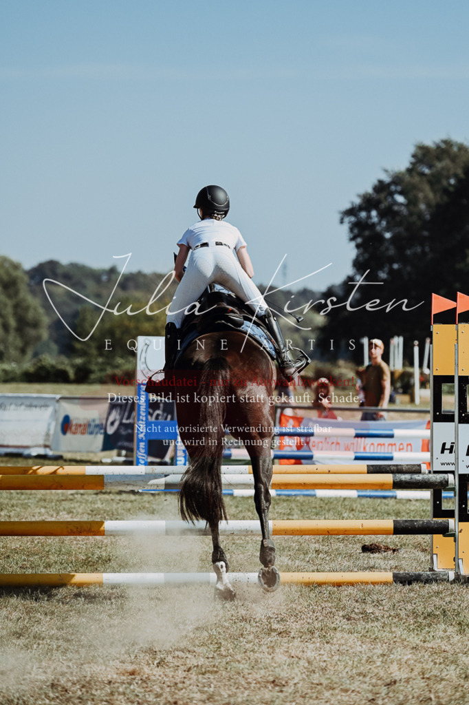 DSC_9664 | Pferde- und Turnierfotografie in Westsachsen. Pferdeportraits, Auftragszeichnungen und intuitive Kunst.