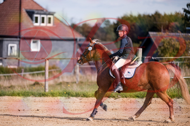 2026_10_03_Siefer-Hof_144716_Z81_24154492 | Professionelle Reitsport-, Turnier- und Eventfotografie von Robert Broda. Galerien mit ausgewählten und bearbeiteten Bildern direkt online ansehen und bestellen.