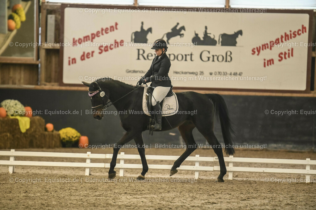 20231029_02_Reiter-WB_Schritt-Trab-Galopp_Abteilung-01_0002 | Foto: Thomas Hartig
