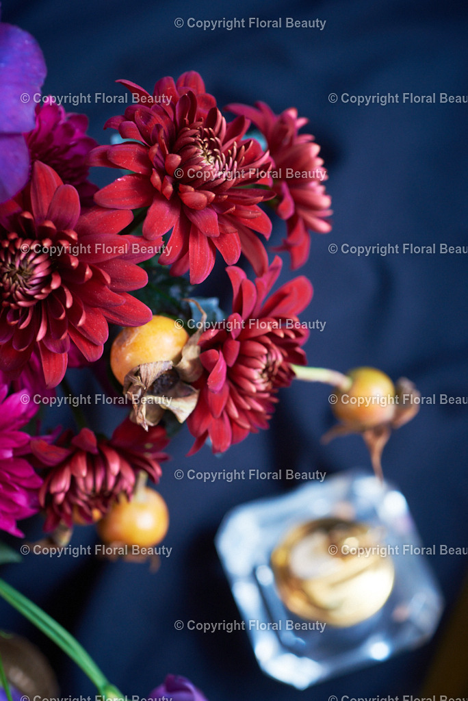 Rot-oranger Strauß aus Nelken und Chrysanthemen | Onlineshop für hochwertige Wandbilder. Bei uns findet ihr selbstgestaltete Blumenmotive. Das perfekte Geschenk, als Praxisdeko oder die eigene Wohnung. Alle künstlerischen Blumenfotos sind auf Leinwand, FineArtPrint, Kunstdruck und vielem mehr zu erwerben - Realisiert mit Pictrs.com