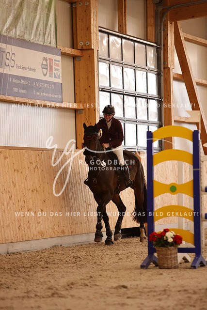 1J2A2981Leonie Ulrich_ Campino M 5_ Kn058_ Hohen Wieschendorf_ Glantz | Foto- und Videografie für alles rund ums Pferd. Hochwertige Bilder und Videos vom Spring- und Dressurreiten, Voltigieren & mehr. Jetzt aktuelle Veranstaltungen und Preise im Shop ansehen. - Realisiert mit Pictrs.com