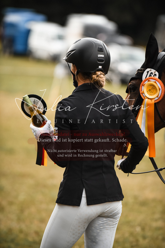 DSC_6422 | Pferde- und Turnierfotografie in Westsachsen. Pferdeportraits, Auftragszeichnungen und intuitive Kunst.