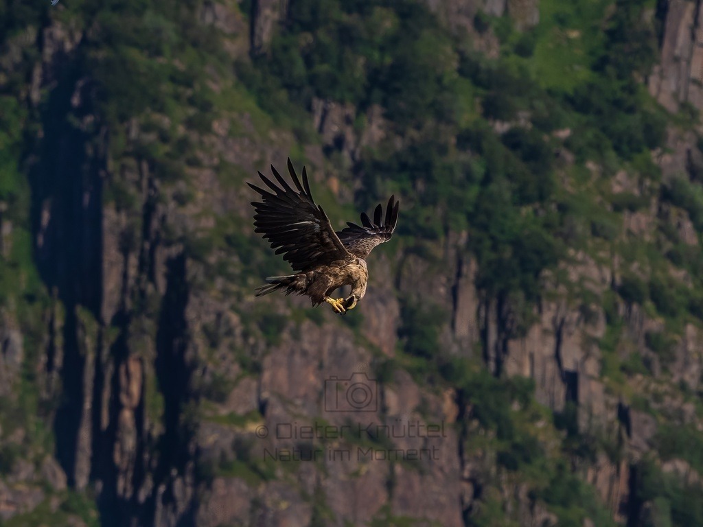 P1001685-LR-topaz-enhance | Natur im Moment - Realisiert mit Pictrs.com