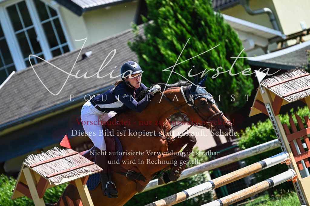 DSC_1364 | Pferde- und Turnierfotografie in Westsachsen. Pferdeportraits, Auftragszeichnungen und intuitive Kunst.