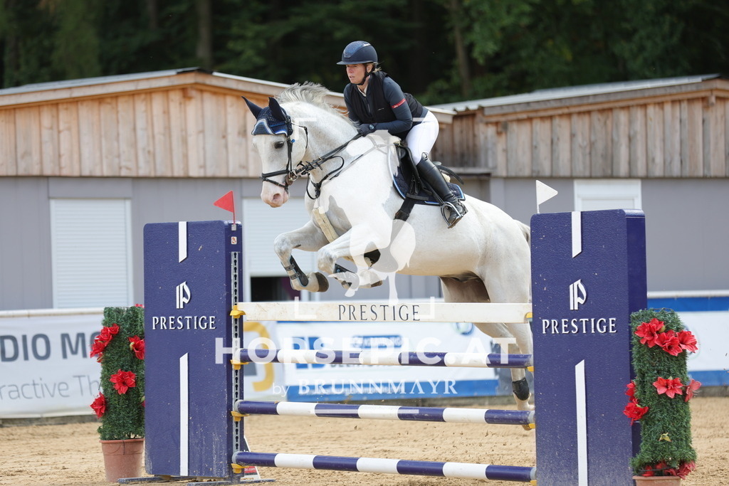 0P6A7097 | Willkommen bei Brunnmayr - Design & Fotografie – Ihrem Spezialisten für Reitturniere und Pferdeveranstaltungen in Oberösterreich, Salzburg und Bayern! Seit über 17 Jahren sind wir leidenschaftlich dabei.