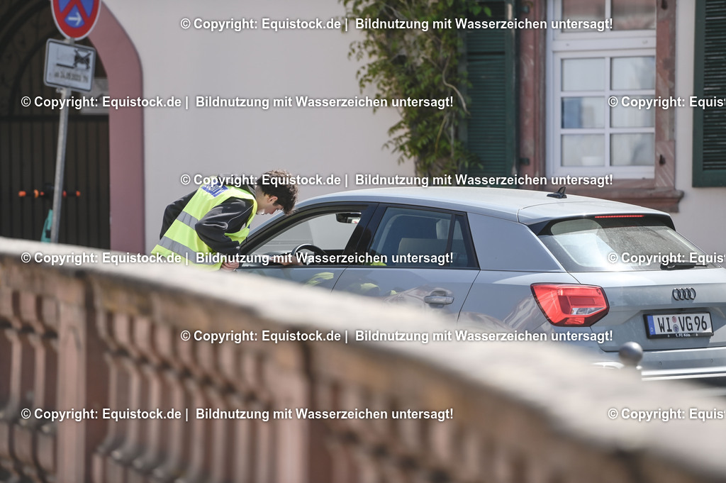 D78_2894 | equistock