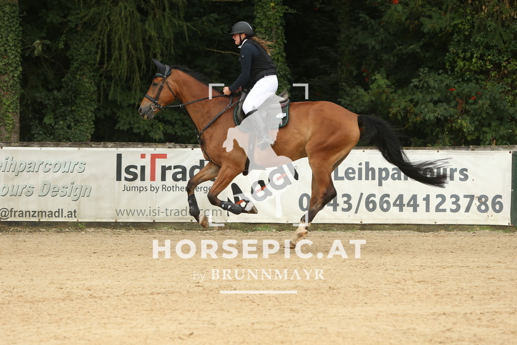 DL2Q6151 | Willkommen bei Brunnmayr - Design & Fotografie – Ihrem Spezialisten für Reitturniere und Pferdeveranstaltungen in Oberösterreich, Salzburg und Bayern! Seit über 17 Jahren sind wir leidenschaftlich dabei.