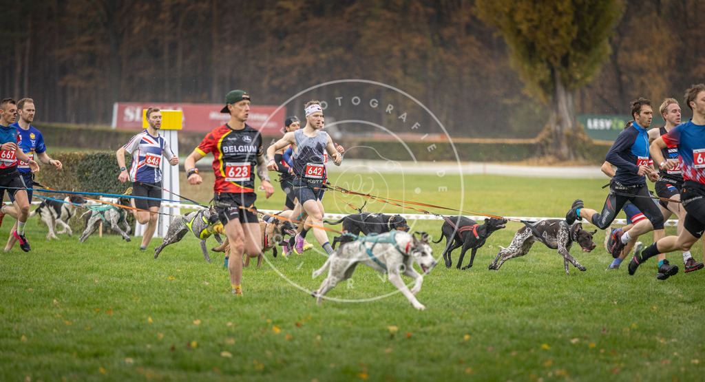 CaniXpix_DV3A9474 | Hundefotografie, Tierfotograf, Pfotenfotografie, Fotoshooting Hund, Hunde Portrait, Hundesport, Hundeportraits, Heideshooting, Hunde, Sportfotograf, Hundefotograf, Turnierhundsport, THS,  - Realisiert mit Pictrs.com