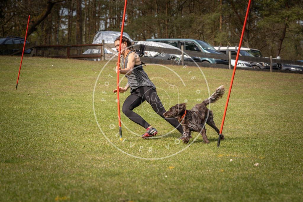 Pfotenfotografie_DV3A7198 | Hundefotografie, Tierfotograf, Pfotenfotografie, Fotoshooting Hund, Hunde Portrait, Hundesport, Hundeportraits, Heideshooting, Hunde, Sportfotograf, Hundefotograf, Turnierhundsport, THS,  - Realisiert mit Pictrs.com