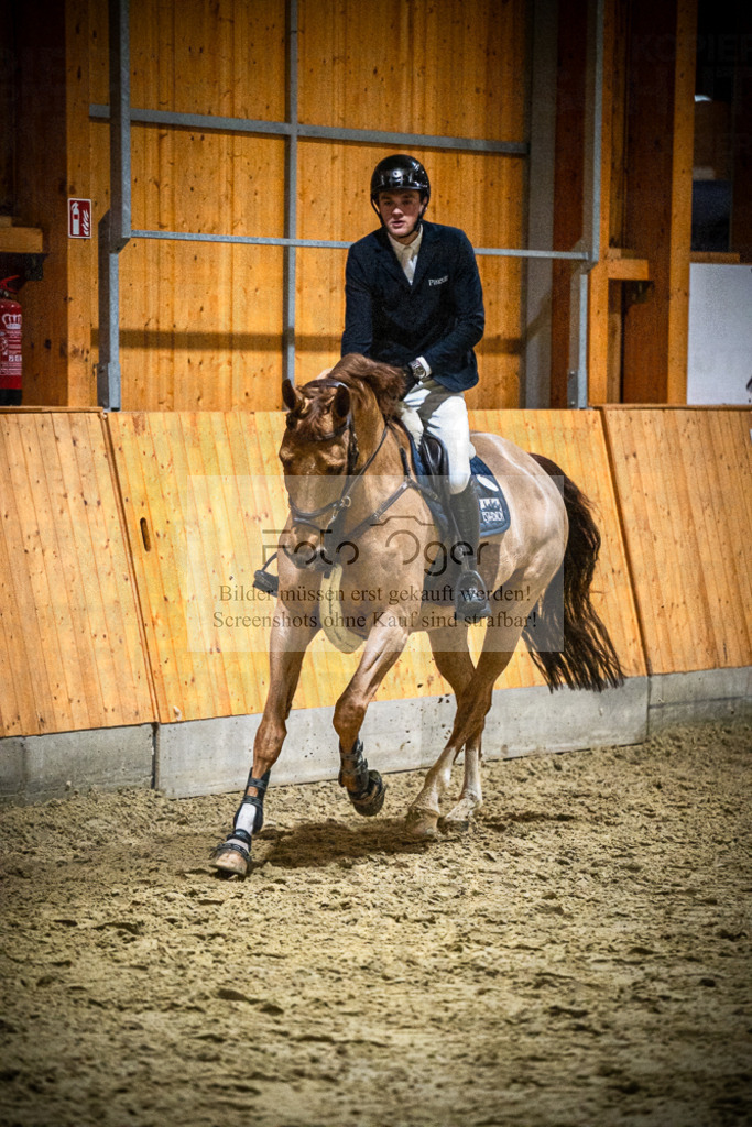 DOS_1171 | Entdecke hochwertige Reitturnierfotos von Foto Oger. Professionell, emotional und authentisch – jetzt Lieblingsmomente im Shop bestellen.Deutschlandweite Turnierfotografie. - Realisiert mit Pictrs.com