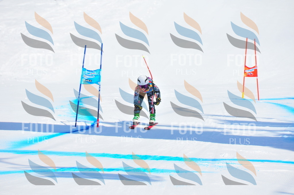 DSC_0581 | holidayphoto