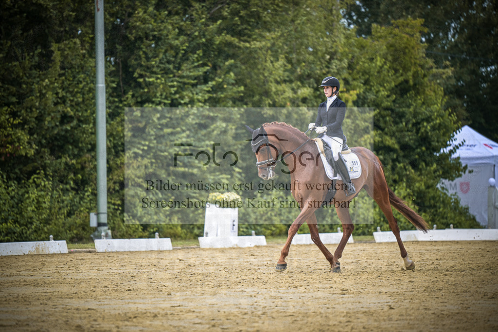 DOS_9229 | Entdecke hochwertige Reitturnierfotos von Foto Oger. Professionell, emotional und authentisch – jetzt Lieblingsmomente im Shop bestellen.Deutschlandweite Turnierfotografie. - Realisiert mit Pictrs.com