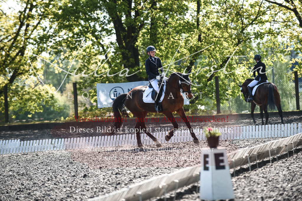 DSC_8901 | Pferde- und Turnierfotografie in Westsachsen. Pferdeportraits, Auftragszeichnungen und intuitive Kunst.