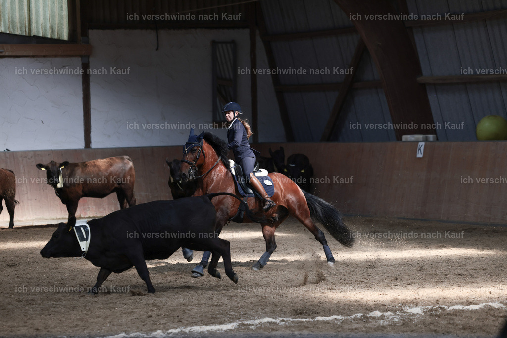 Masterclass_stoibphotography_C2_L7397.JPG | working equitationturnier fotograf videograf stoibphotography marixx film working equitation deutschland reitsport turnierfotografie eventfotografie equestrian events
