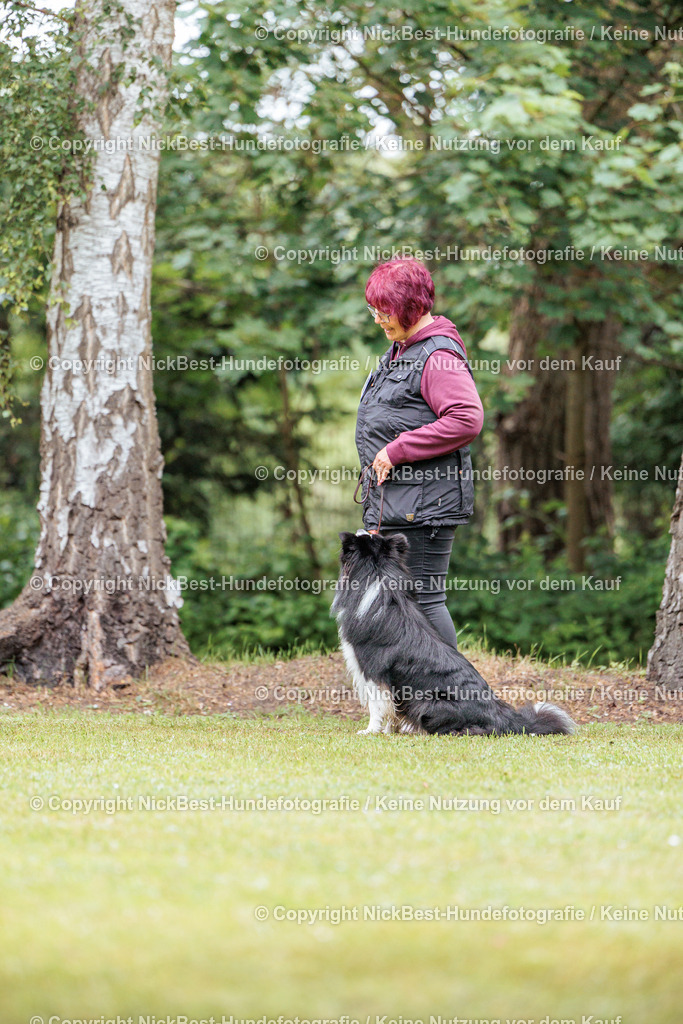 RO-Blumenthal-2026-Nickbest-Hundefotografie-4489 | Dein Hund! Dein Moment! Deine Erinnerungen! Hundefotografie in Bremen Blumenthal. Ich fange die besonderen Momente deines Vierbeiners ein – ob Indoor mit Blitzanlage oder in der freien Natur. Sicher dir dein Moment und dein Termin für eure Erinnerungen.