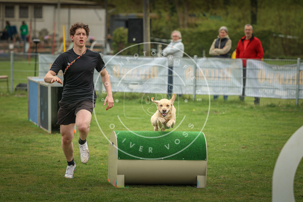 Pfotenfotografie_0L8A1405 | Hundefotografie, Tierfotograf, Pfotenfotografie, Fotoshooting Hund, Hunde Portrait, Hundesport, Hundeportraits, Heideshooting, Hunde, Sportfotograf, Hundefotograf, Turnierhundsport, THS,  - Realisiert mit Pictrs.com