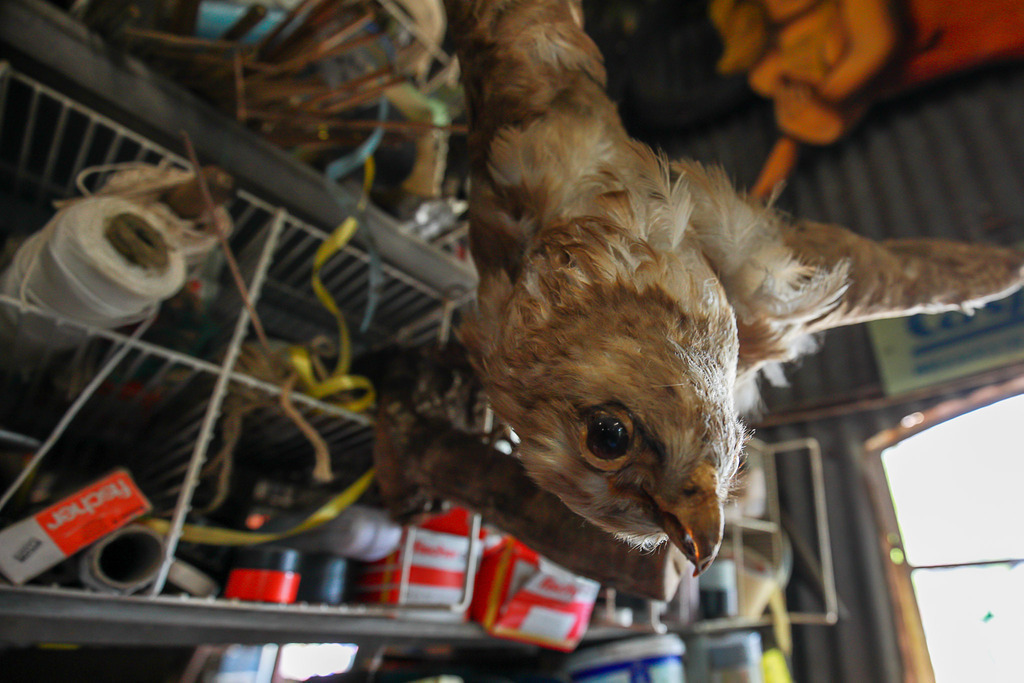 VillerMuehle_09062025_097 | Bildergalerie von Sport-Ereignissen aber auch von weiteren spannenden Dingen - nicht nur vom Niederrhein. In Anlehnung an den bekannten Spruch von Hanns Dieter Hüsch heißt das Motto: "Niederrhein ist überall".  - Realisiert mit Pictrs.com