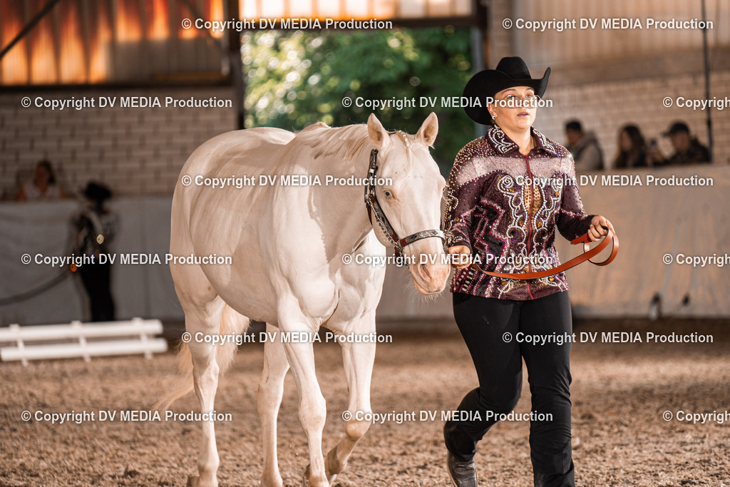 ZH100021 | dv-media-shop - Realisiert mit Pictrs.com