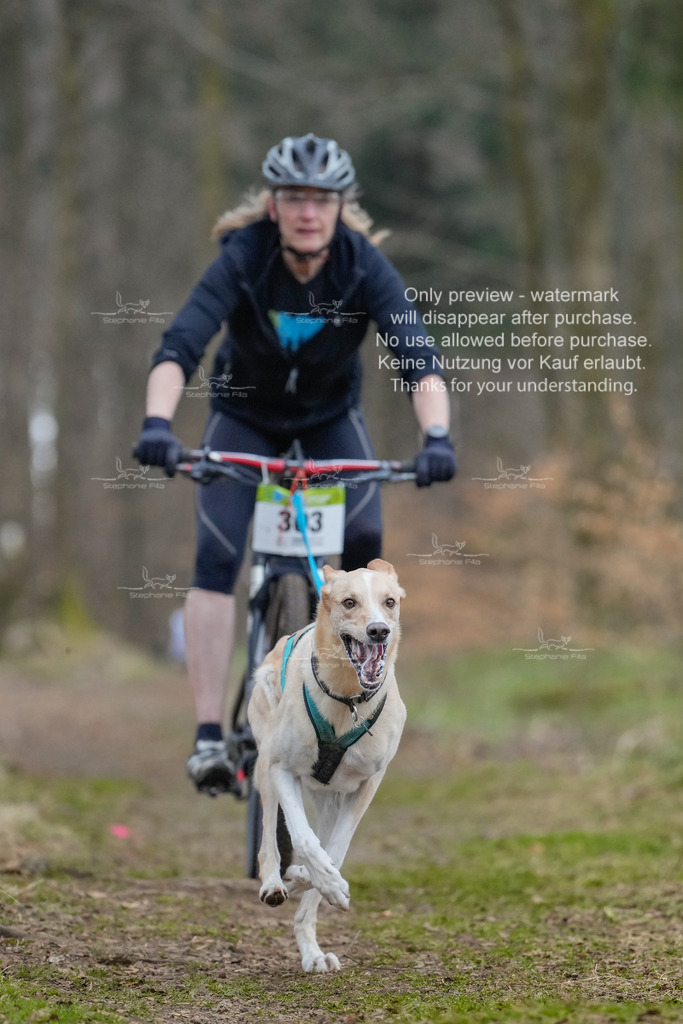 BikekurzSa-88 | stephaniefillaphotographie - Realisiert mit Pictrs.com