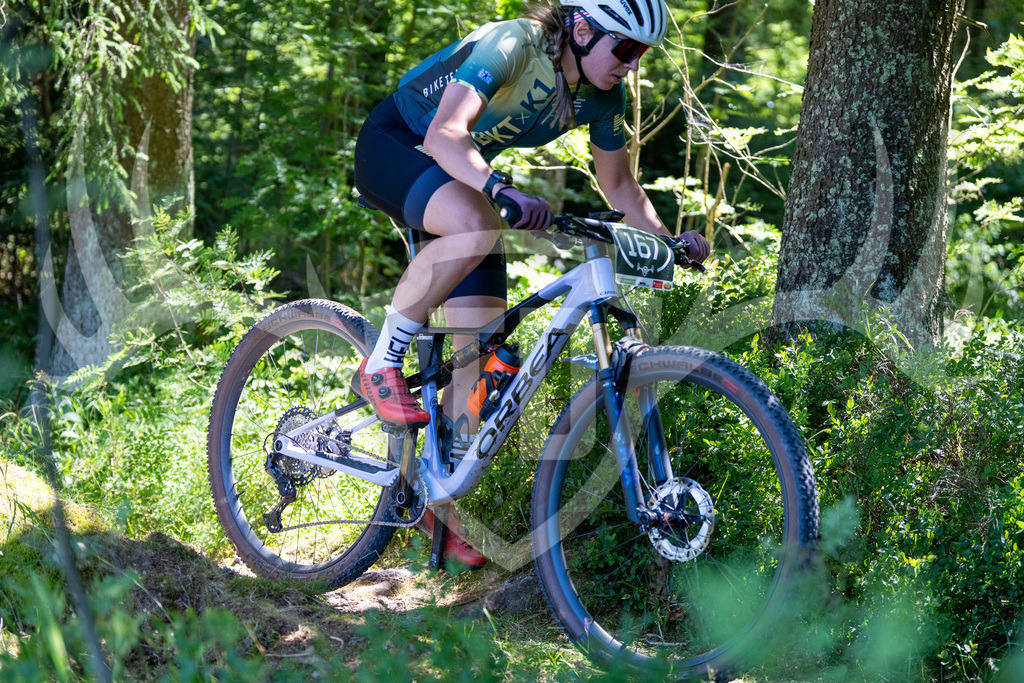 _DSC6029 | Fotogalerie der Treibjagd im Dunkelwald - Dein MTB Etappenrennen im Erzgebirge - Realisiert mit Pictrs.com