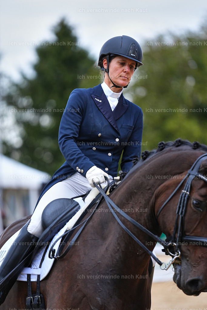 8_1-087-Klasse S_  -Marixx-4116 | working equitationturnier fotograf videograf stoibphotography marixx film working equitation deutschland reitsport turnierfotografie eventfotografie equestrian events