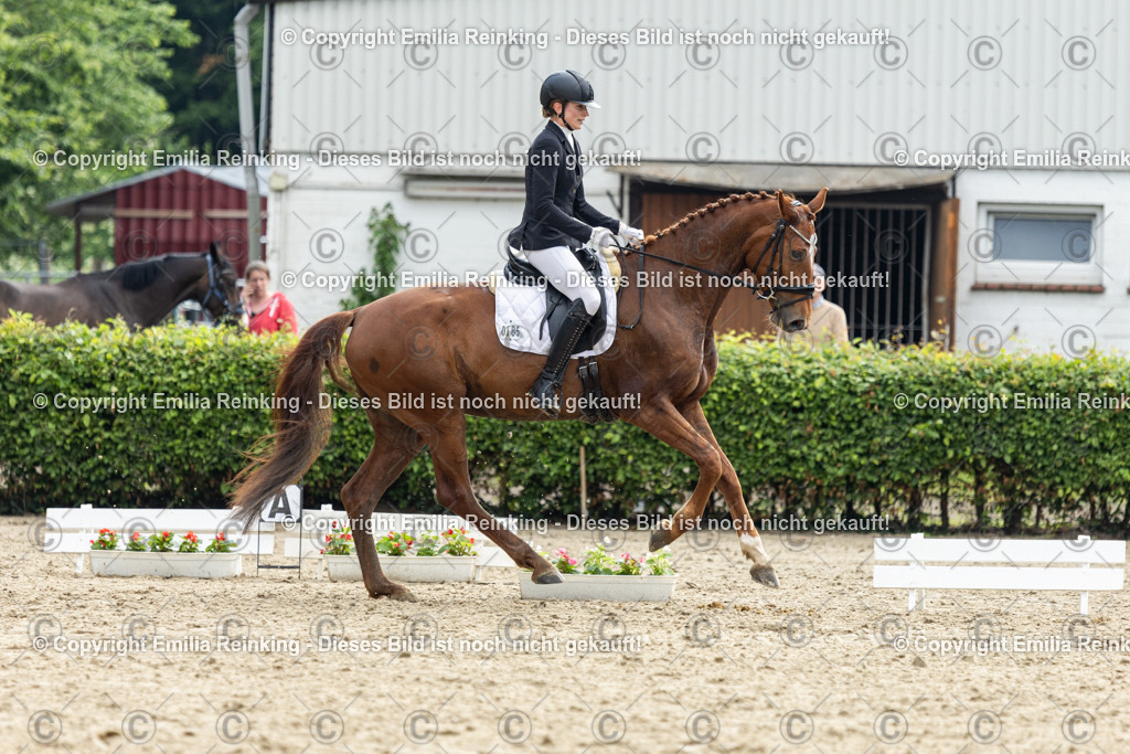 CL5A4626 | Emilia Reinking Fotografie - Realisiert mit Pictrs.com