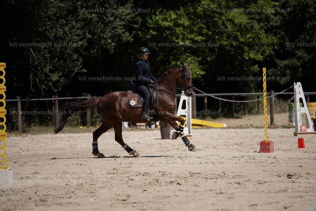 WM_SP_5_Stoibphotography_SO19069 | working equitationturnier fotograf videograf stoibphotography marixx film working equitation deutschland reitsport turnierfotografie eventfotografie equestrian events