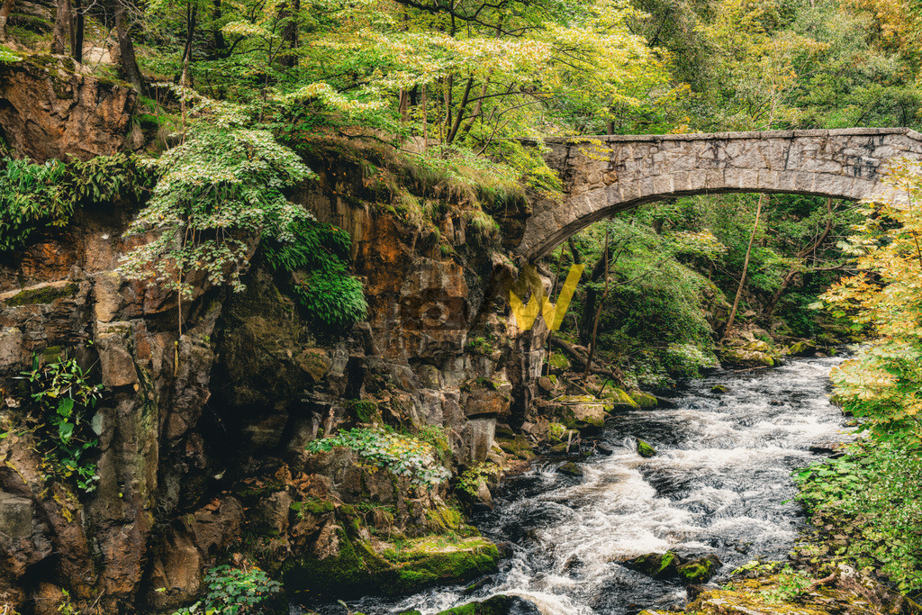 Die Jungfernbrücke über die Bode---Harz-Wandern-Hexenstieg | Hochauflösende und hochwertige Bilder und Fotos.Kommerzielle oder private Nutzung ✔ Bilder downloaden✔ Acryl ✔ Leinwand ✔ Poster ✔
 - Realisiert mit Pictrs.com
