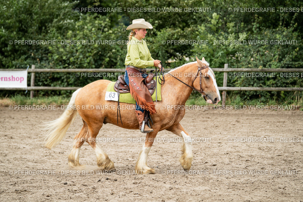 DSC02812 | Pferdegrafie