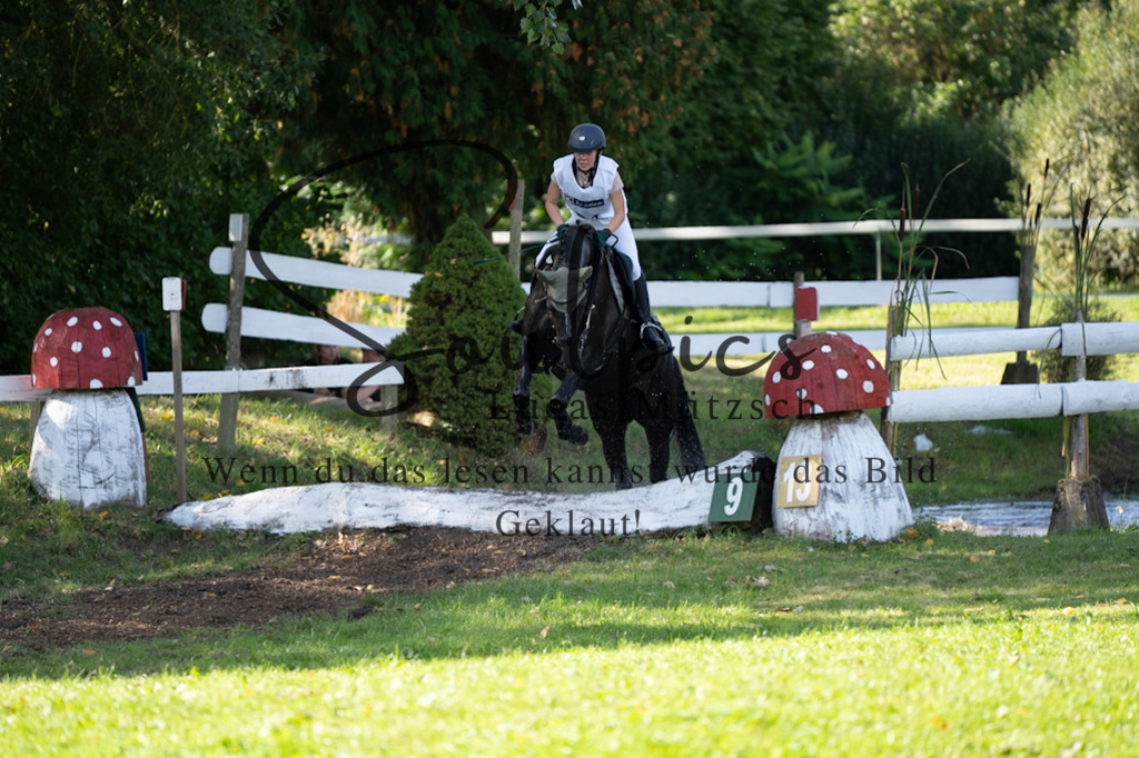 A7V03341 | Pferdefotograf