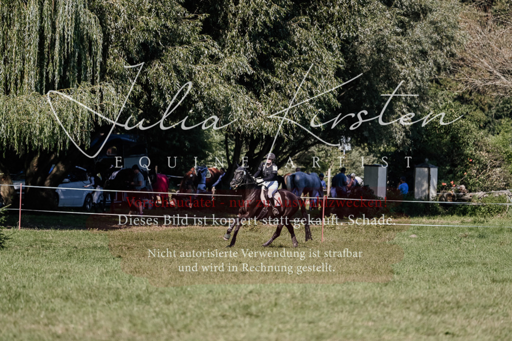 DSC_3512 | Pferde- und Turnierfotografie in Westsachsen. Pferdeportraits, Auftragszeichnungen und intuitive Kunst.