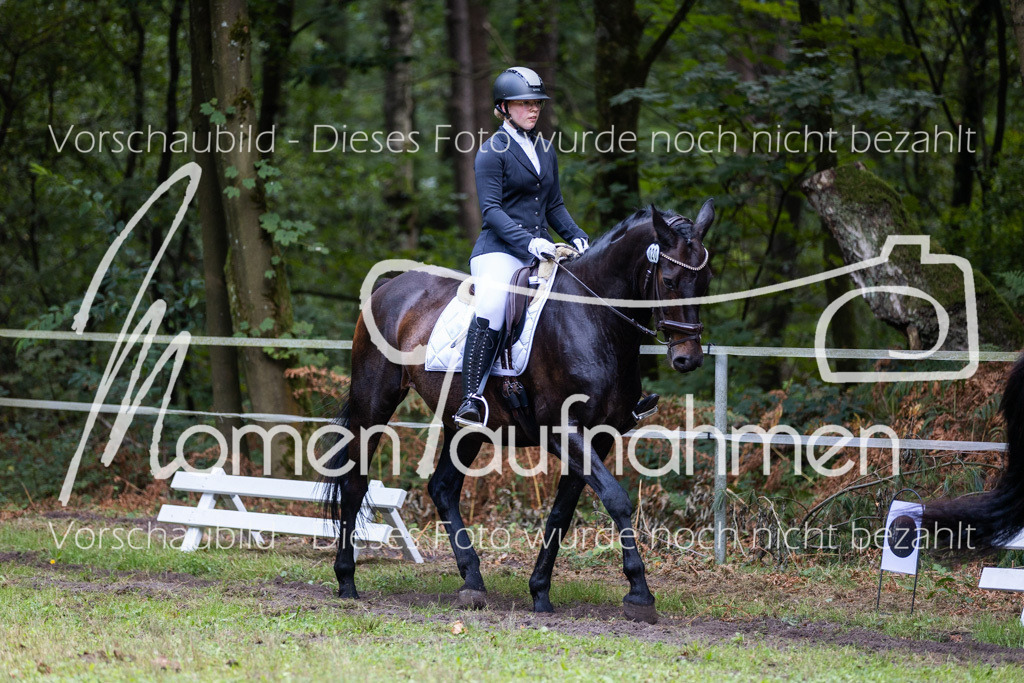 HB-Dressur-WB-030 | MomenTaufnahmen Pferdesportfotos