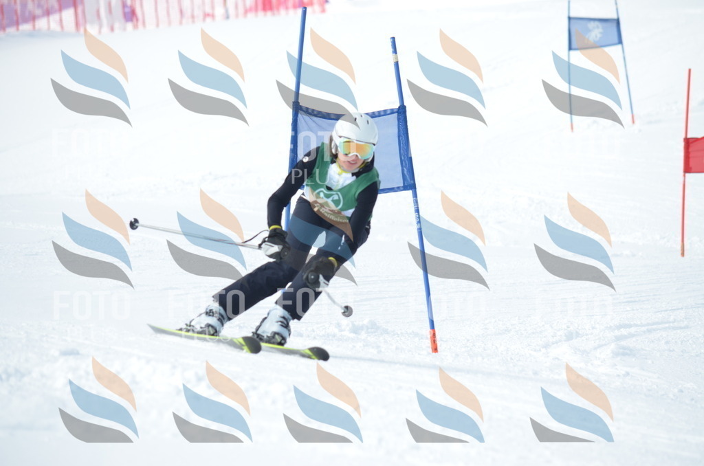 D8879 | holidayphoto