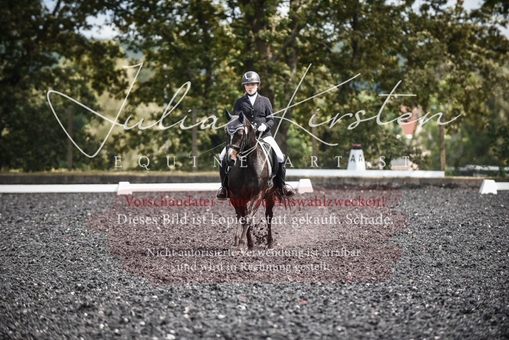 DSC_5096 | Pferde- und Turnierfotografie in Westsachsen. Pferdeportraits, Auftragszeichnungen und intuitive Kunst.