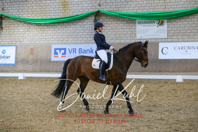 IMG_2730 | Turnierfotos kaufen im Webshop von Daniel Kuhl Photography – entdecke professionelle Reitsportfotos aus Turnieren & Events. Hochwertige Turnierbilder online bestellen & sichern. Jetzt Fotos von Reitsportturnieren kaufen!