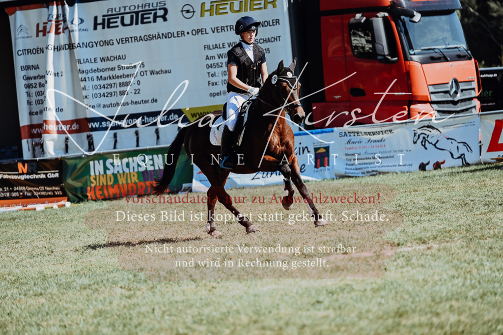 DSC_6663 | Pferde- und Turnierfotografie in Westsachsen. Pferdeportraits, Auftragszeichnungen und intuitive Kunst.
