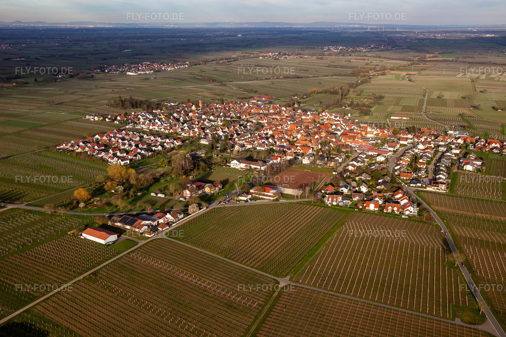 Luftbild: Ortsansicht von Westen im Ortsteil Nußdorf in Landau im Bundesland Rheinland-Pfalz in Deutschland. Foto: IMG_140065.jpg vom 14.03.2024 durch Werner Riehm/FLY-FOTO.de