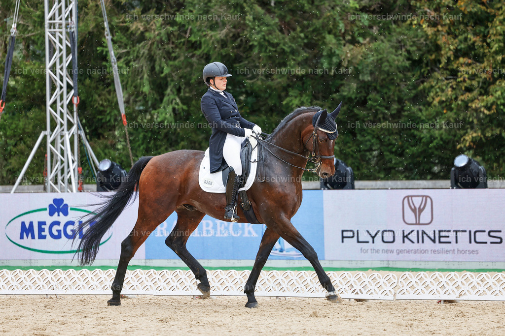 8_1-206-Klasse S_  -StoibPH-3912 | working equitationturnier fotograf videograf stoibphotography marixx film working equitation deutschland reitsport turnierfotografie eventfotografie equestrian events