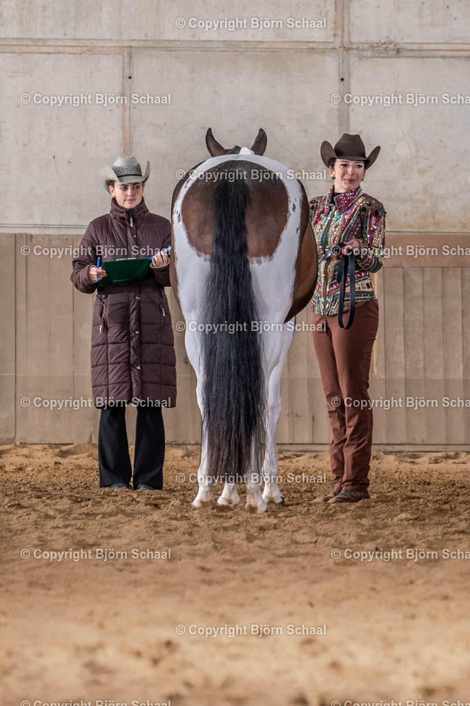 LMB08054 | BS-foto