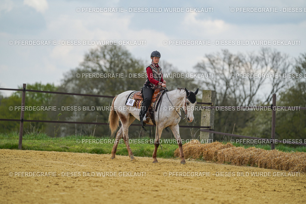 DSC06662 | Pferdegrafie