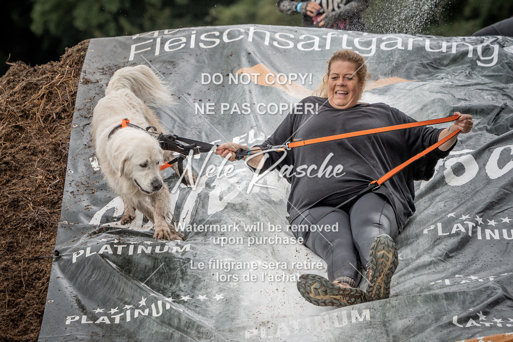 nelerasche_Wingst_Sa1300-1330_349 | nelerasche