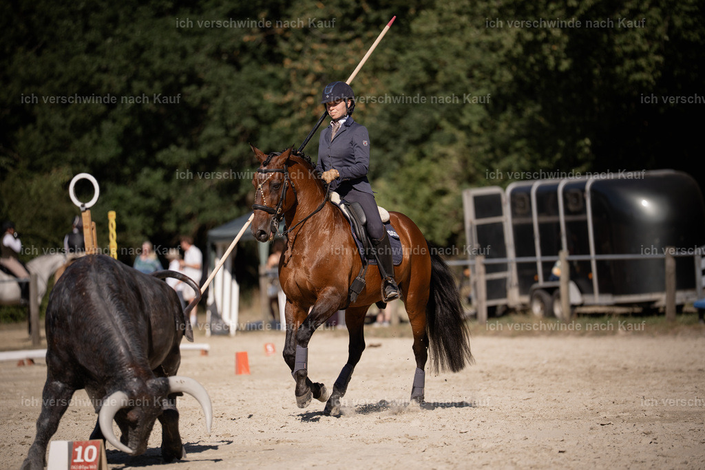 WS_ST_46_stoibphotography_SO11784 | working equitationturnier fotograf videograf stoibphotography marixx film working equitation deutschland reitsport turnierfotografie eventfotografie equestrian events