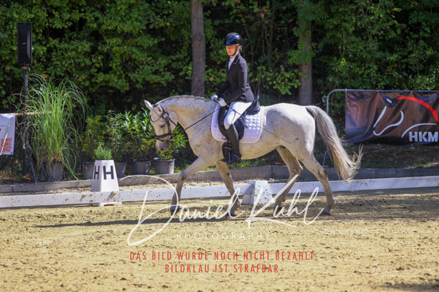 DKP41974 | Turniersportfotografie; Pferdefotografie; Dressurfotografie